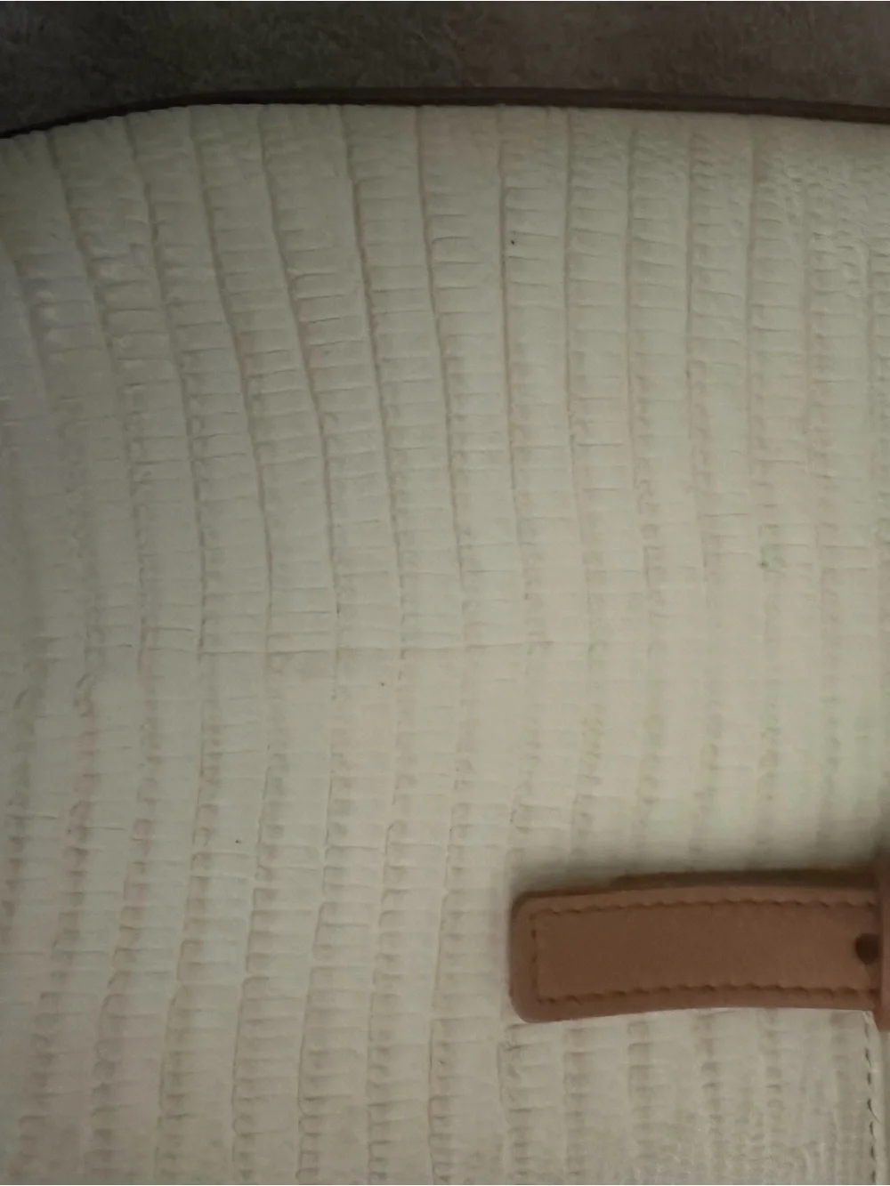 Brahmin Duxbury Tote/Satchel bag